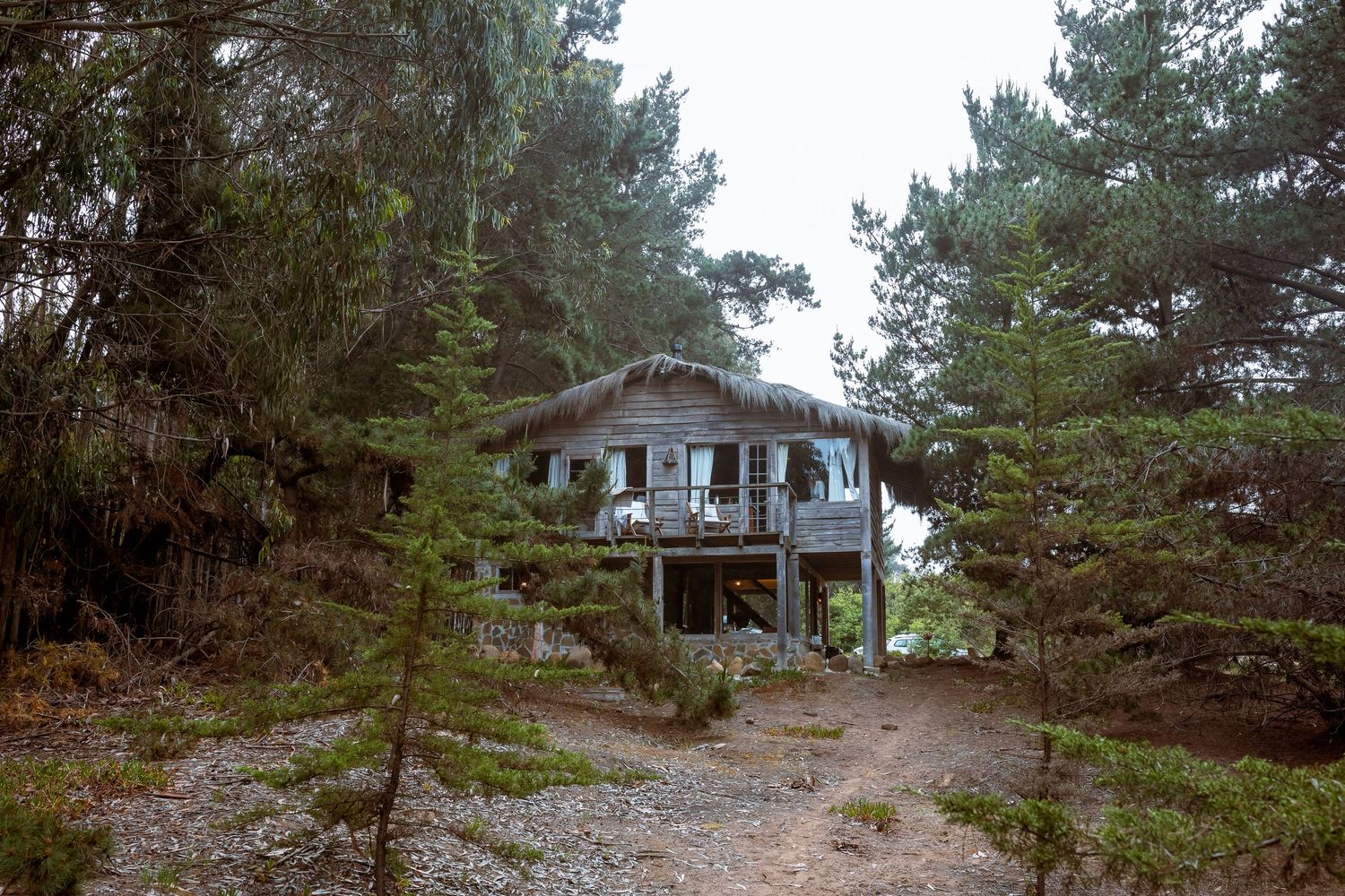 A rustic wooden cabin on stilts nestled among tall pine trees in a misty forest setting.