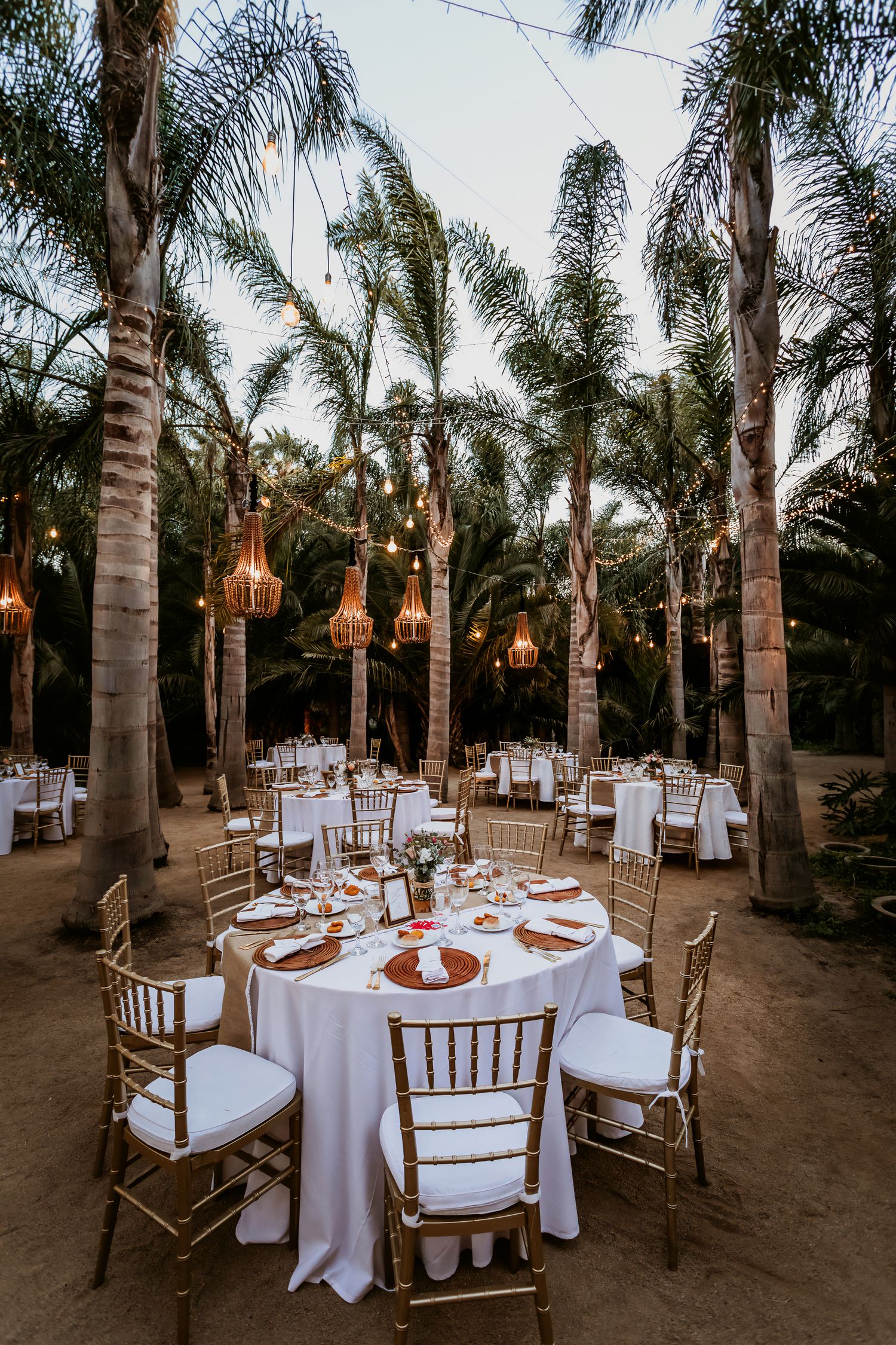 Romantic outdoor wedding reception with white round tables and gold chairs under tropical palm trees.