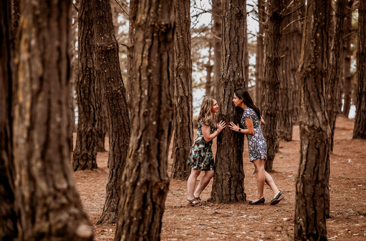 Two women in floral dresses chatting and leaning against tall pine trees in a forest.