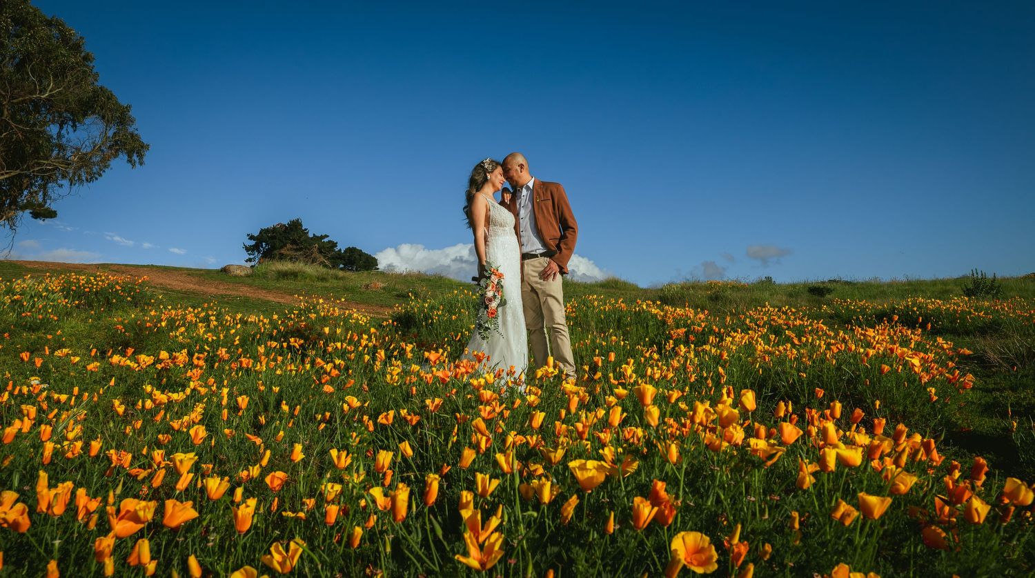Couple embracing in a field of bright orange poppies under a deep blue sky on a grassy hillside.