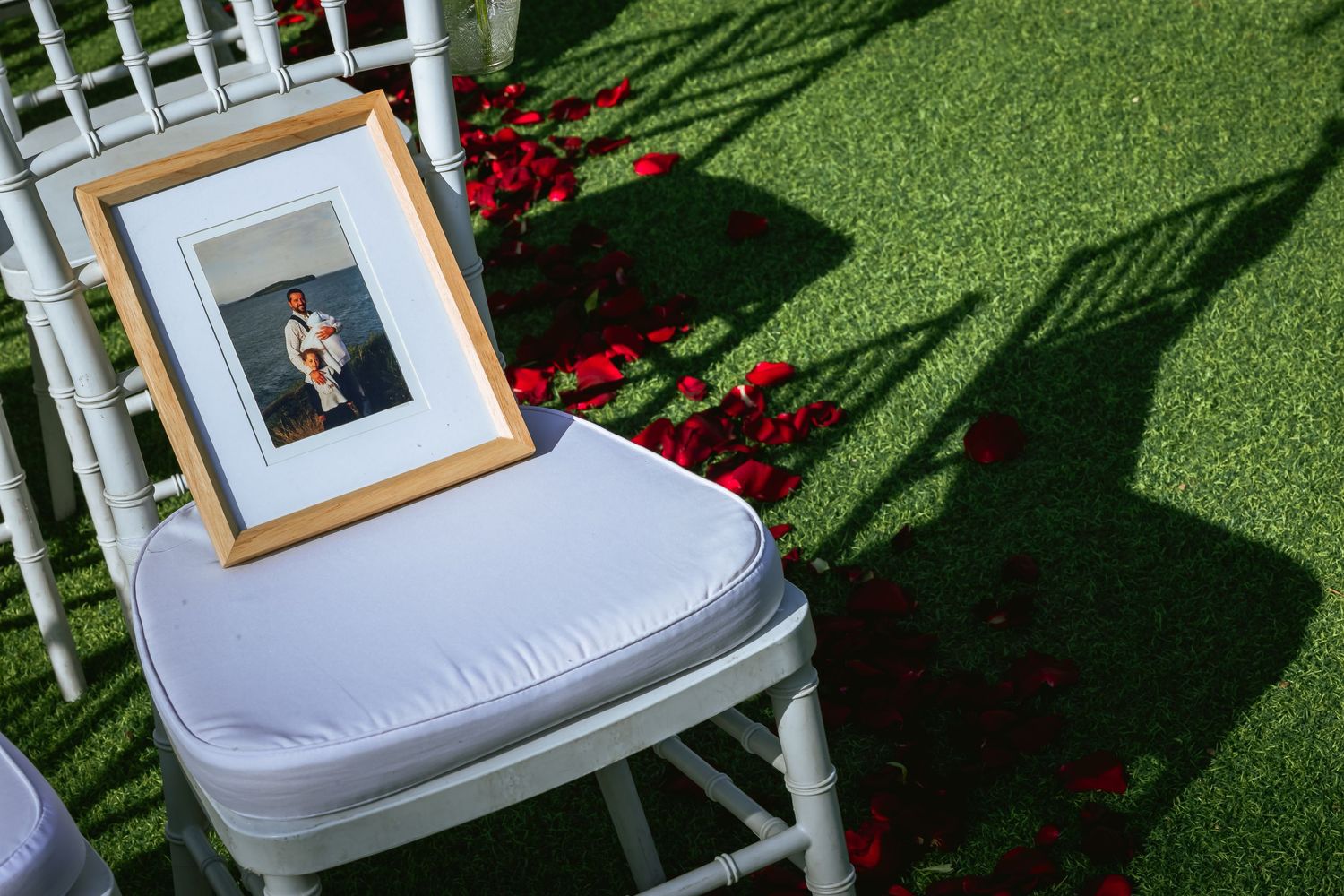 Framed memorial photo on white chiavari chair surrounded by red rose petals at wedding ceremony.