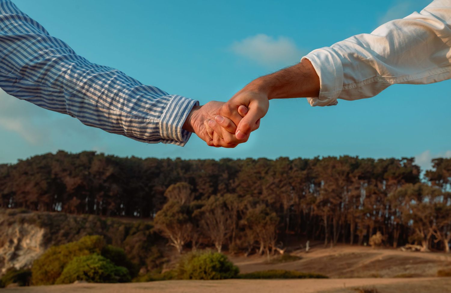 Close-up of couple holding hands against a scenic coastal tree backdrop.