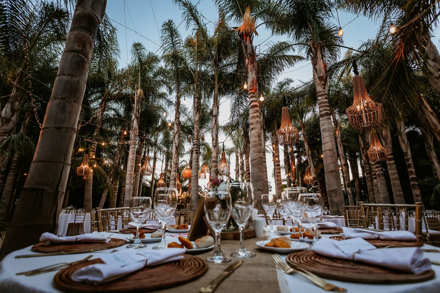 Elegant outdoor wedding reception tables set under tall palm trees with hanging wicker chandeliers.