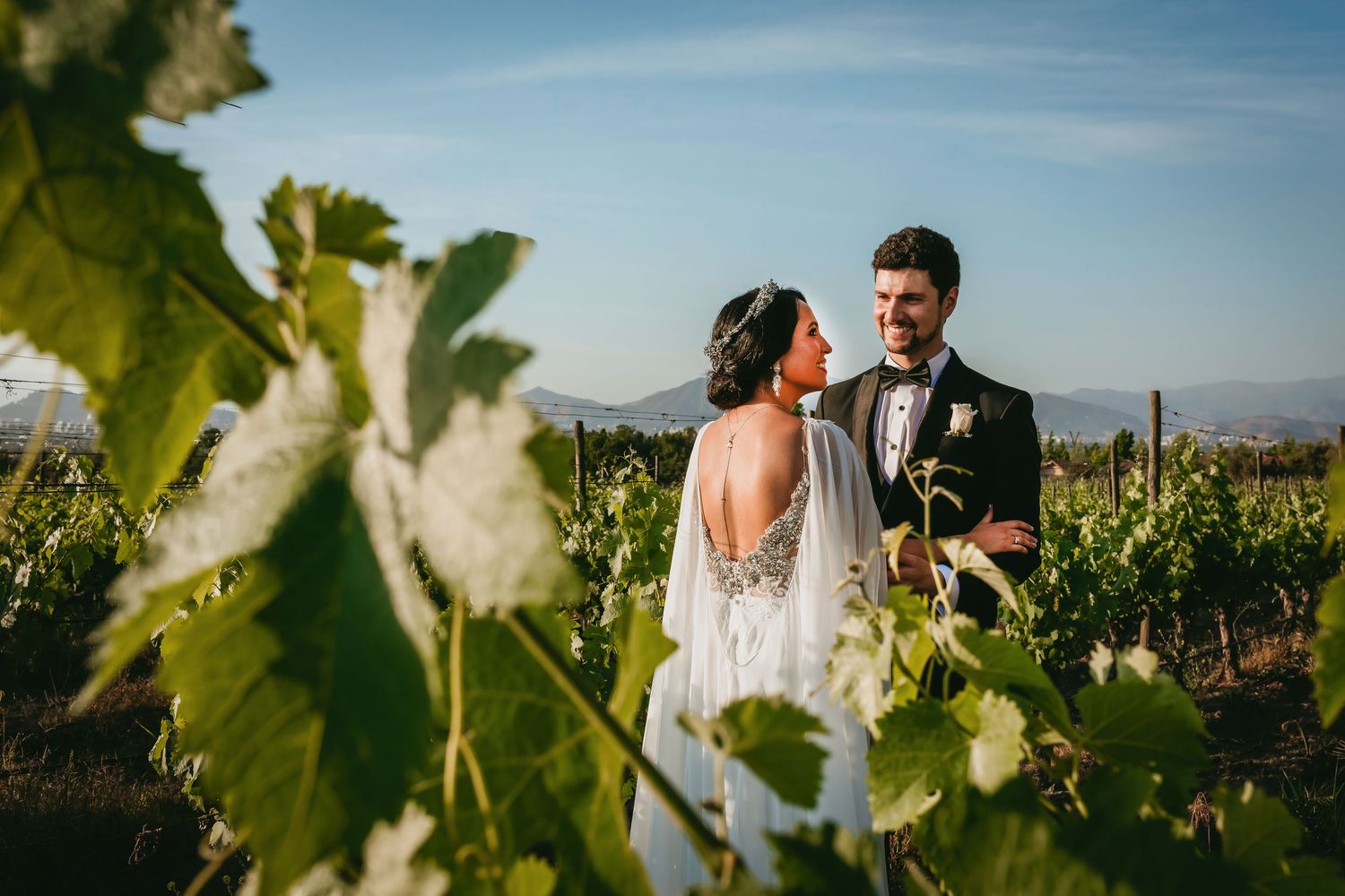 Bride and groom sharing romantic moment among green vineyard rows at golden hour.