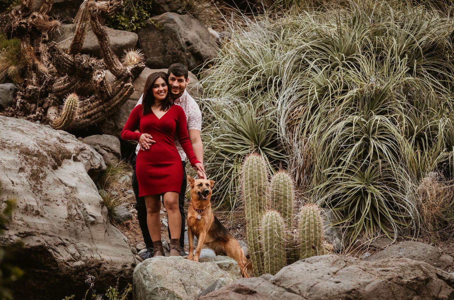 Couple standing with German Shepherd dog among tall cacti and rocks in arid landscape.