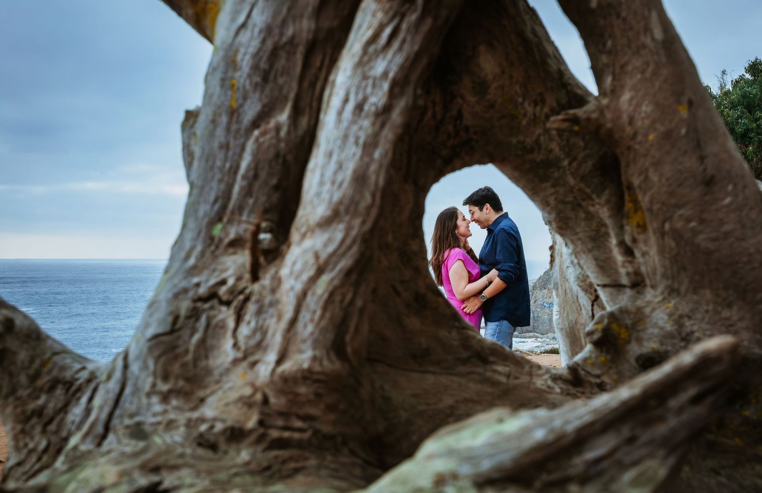Couple sharing a romantic moment framed by twisted tree roots with ocean backdrop.