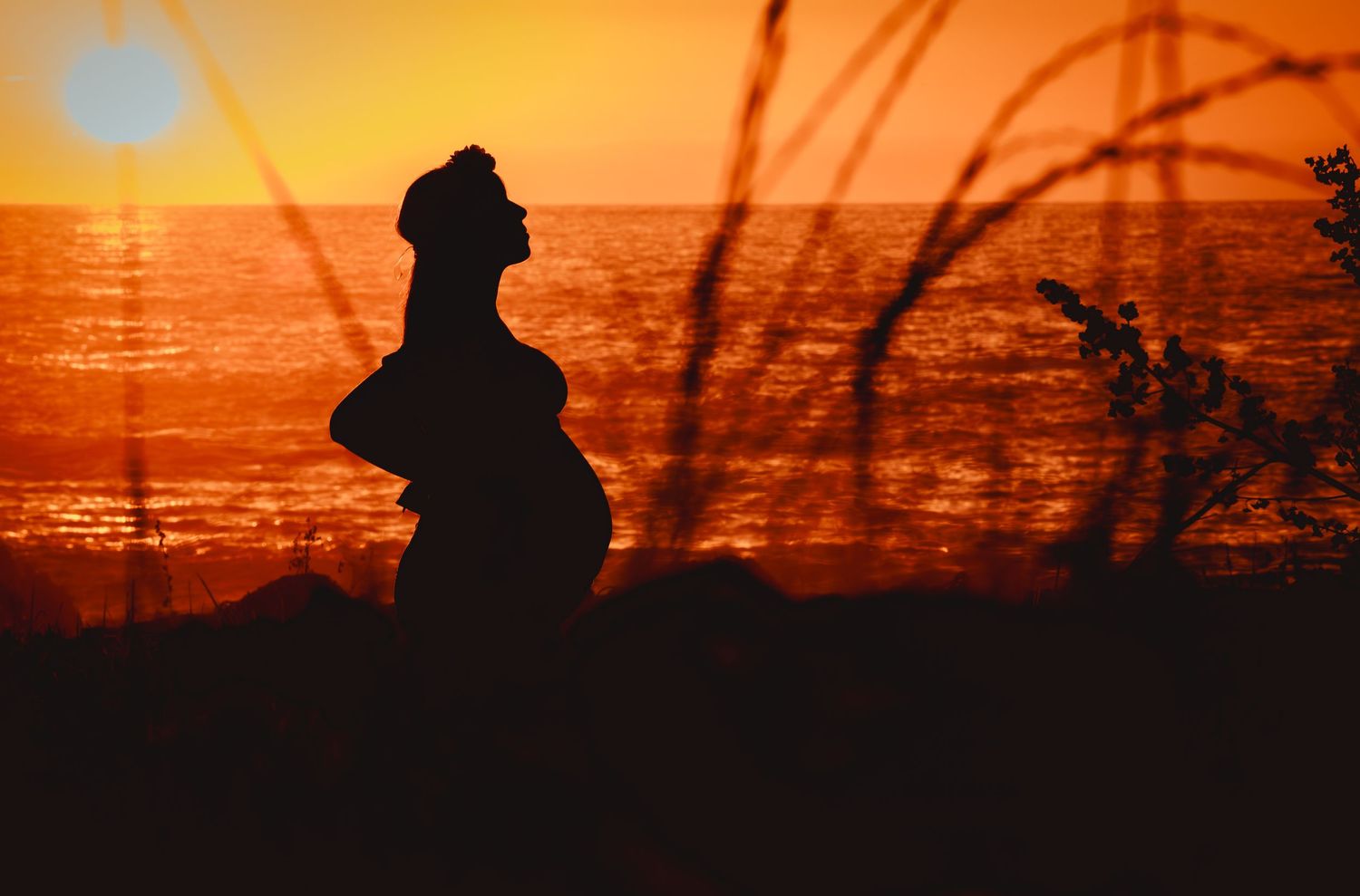 Silhouette of pregnant woman standing near tall grass against a vivid red-orange sunset.