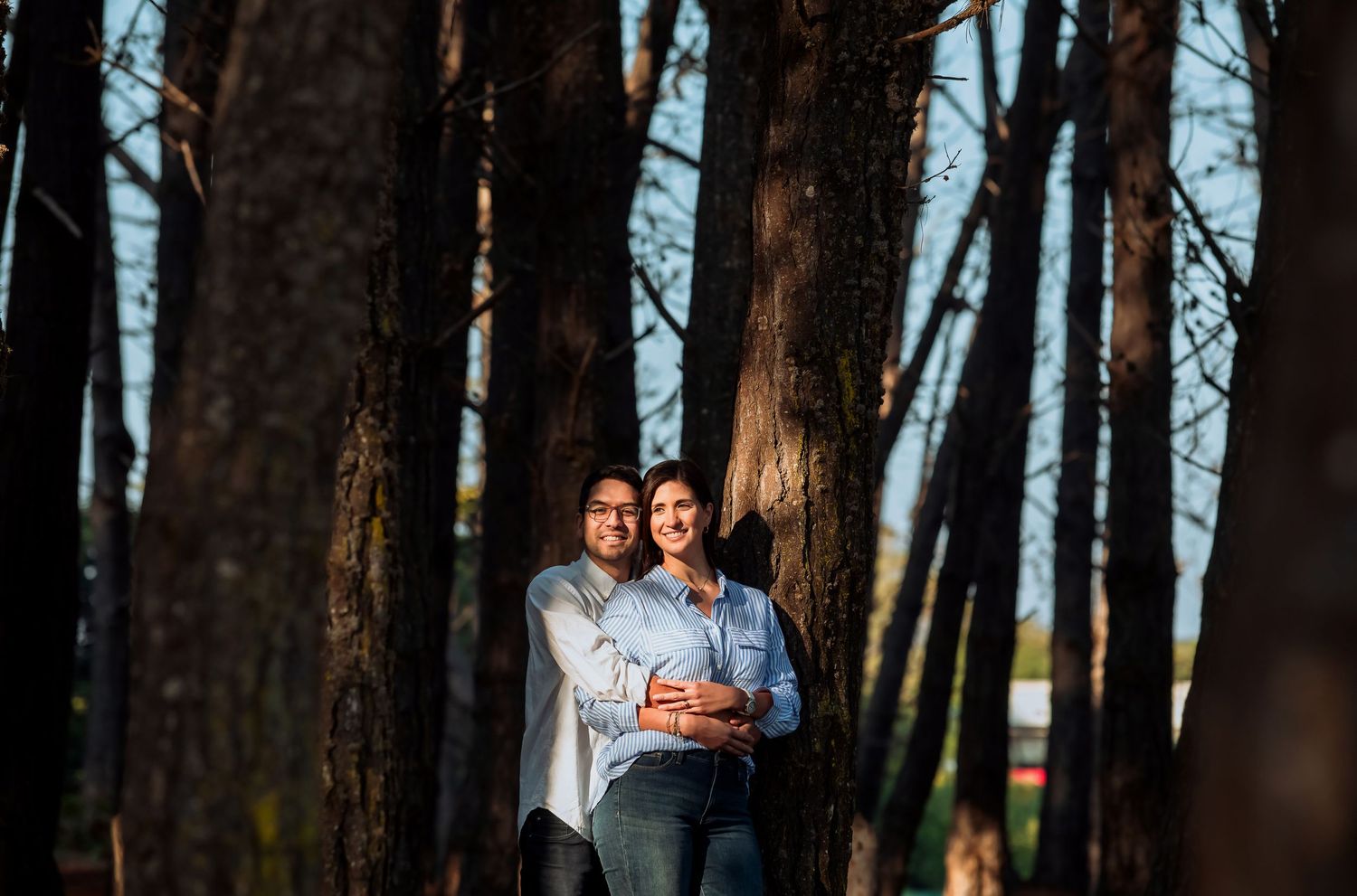 A couple standing close together among tall pine trees, bathed in warm golden sunlight.