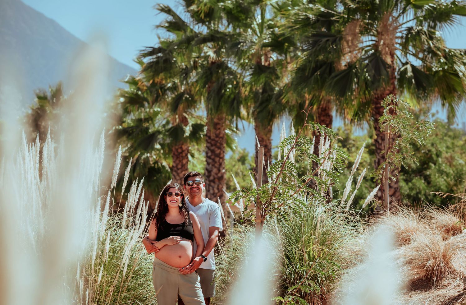 Expecting couple standing among tall palm trees and ornamental grasses in a sunny tropical garden setting.
