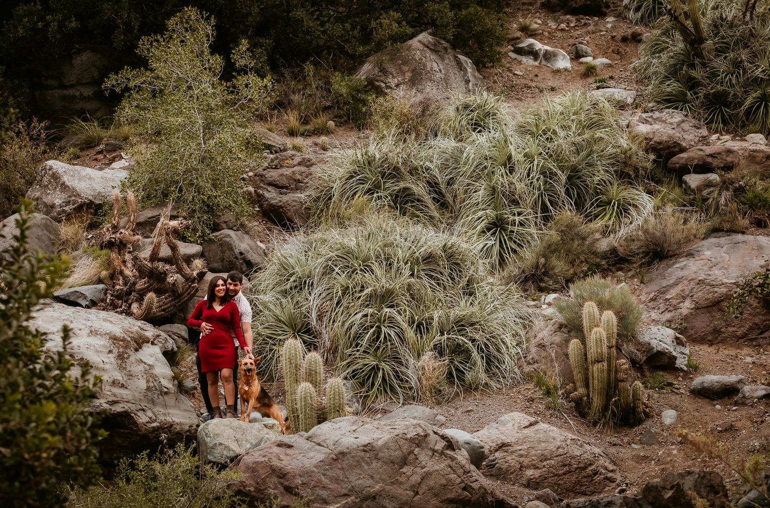Couple embracing on rocky hillside surrounded by cacti and wild desert vegetation.
