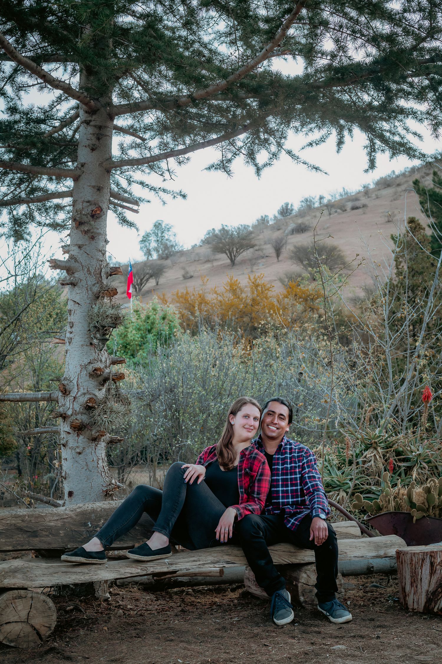 A smiling couple sits on a log bench beneath a large pine tree with a scenic hillside behind them.