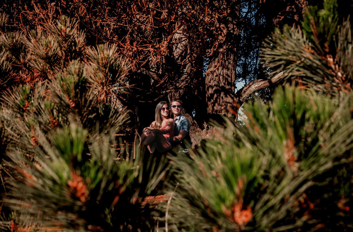 Couple cuddling together nestled among dense pine and autumn foliage in a forest setting.