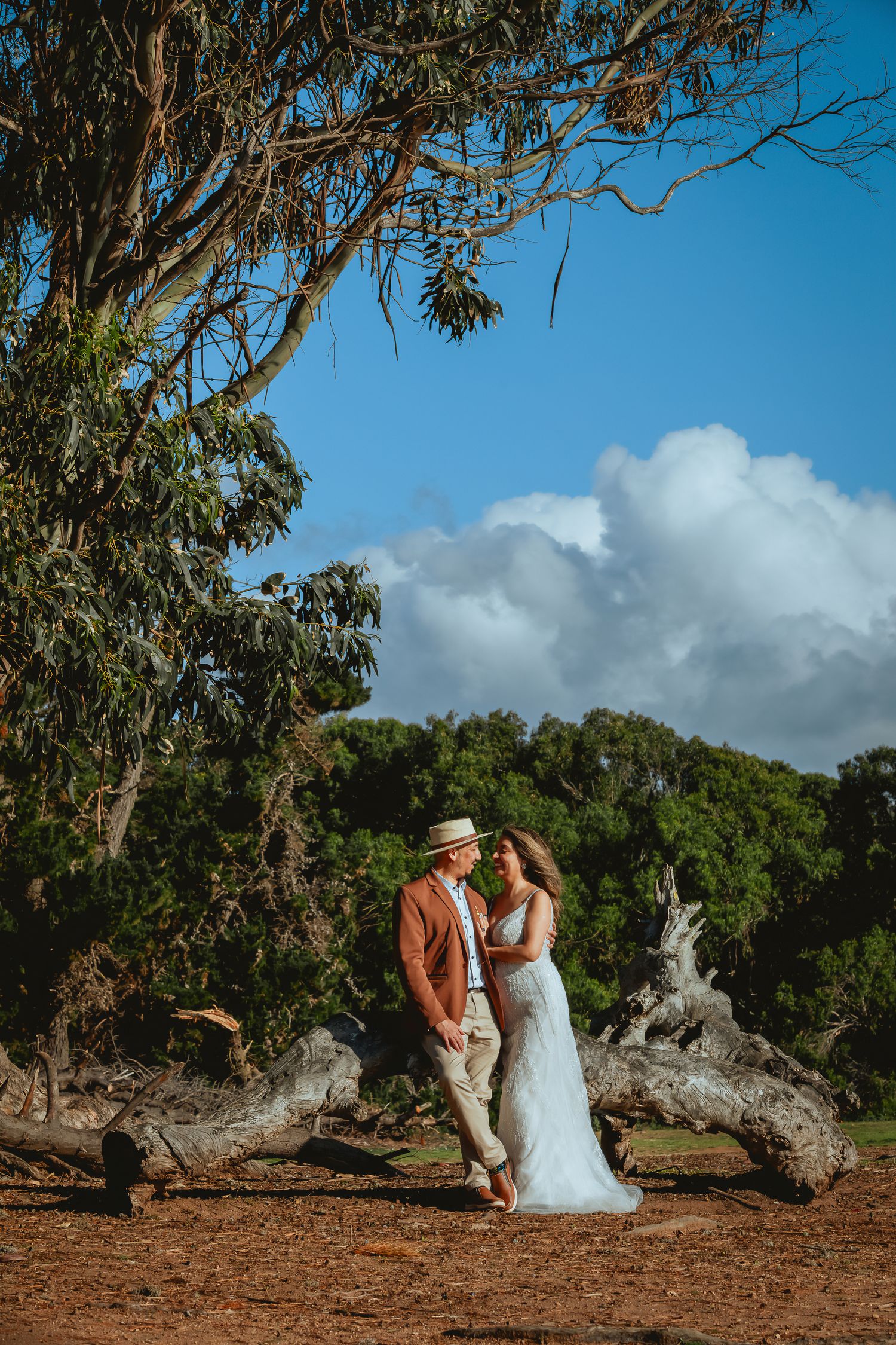 Bride in a white gown and groom in a tan suit and hat embrace beside weathered driftwood logs under a large tree and blue sky.