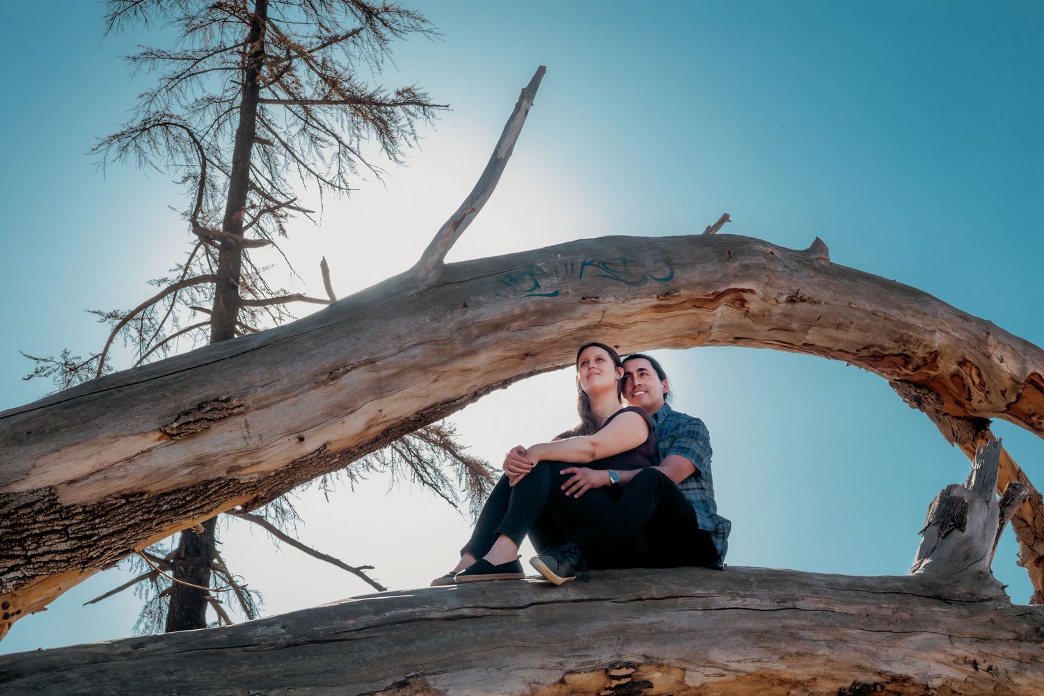 Couple sitting together on a large fallen tree trunk with blue sky and bare trees in background.