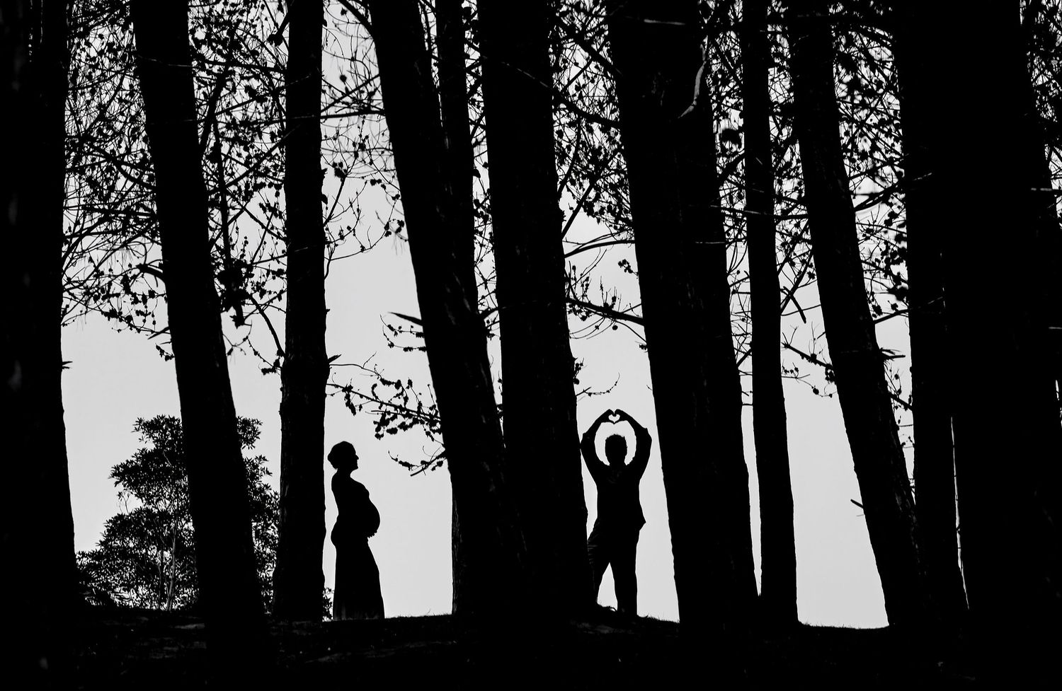 Silhouette of pregnant couple among tall trees in black and white forest photography.