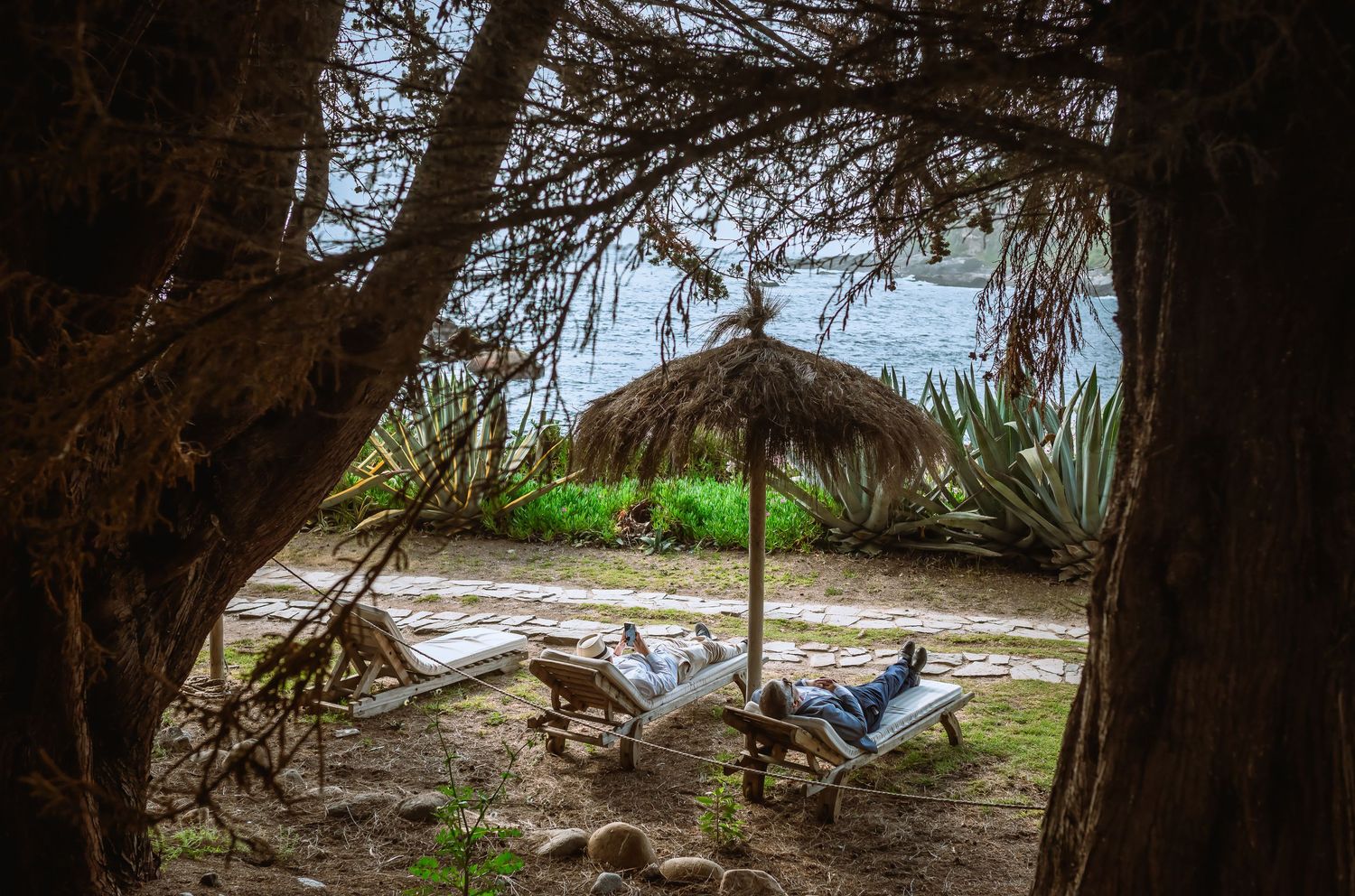 Rustic beach retreat viewed through trees, featuring lounge chairs and thatched umbrella by the water.