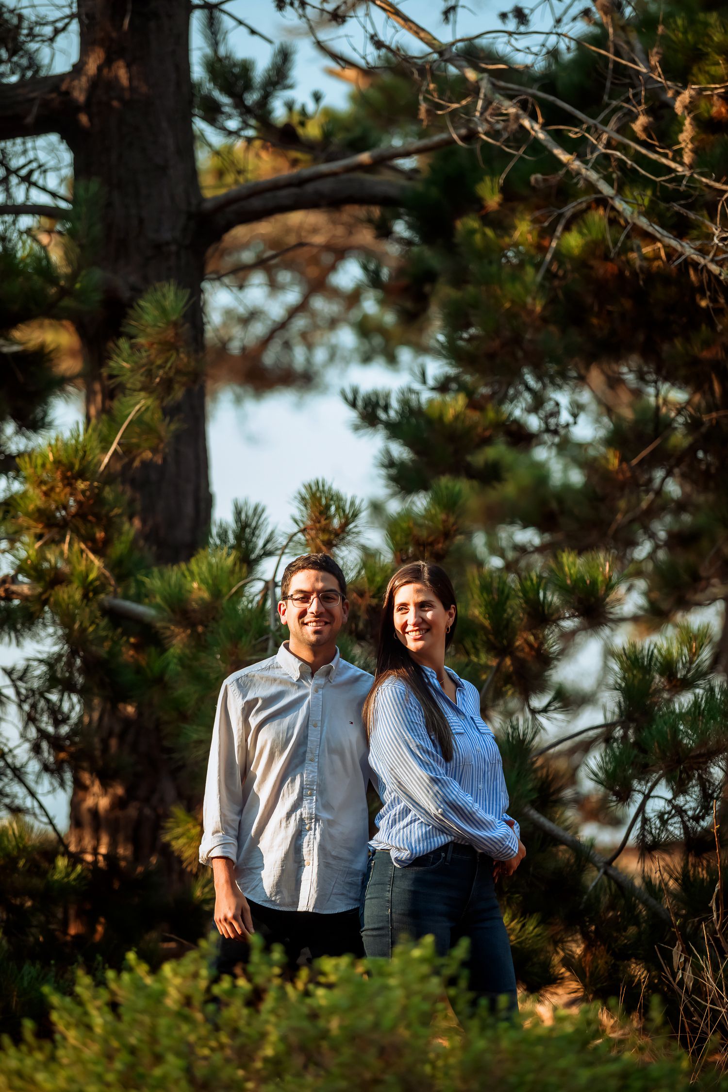 Smiling couple standing together among tall pine trees in warm sunlight.