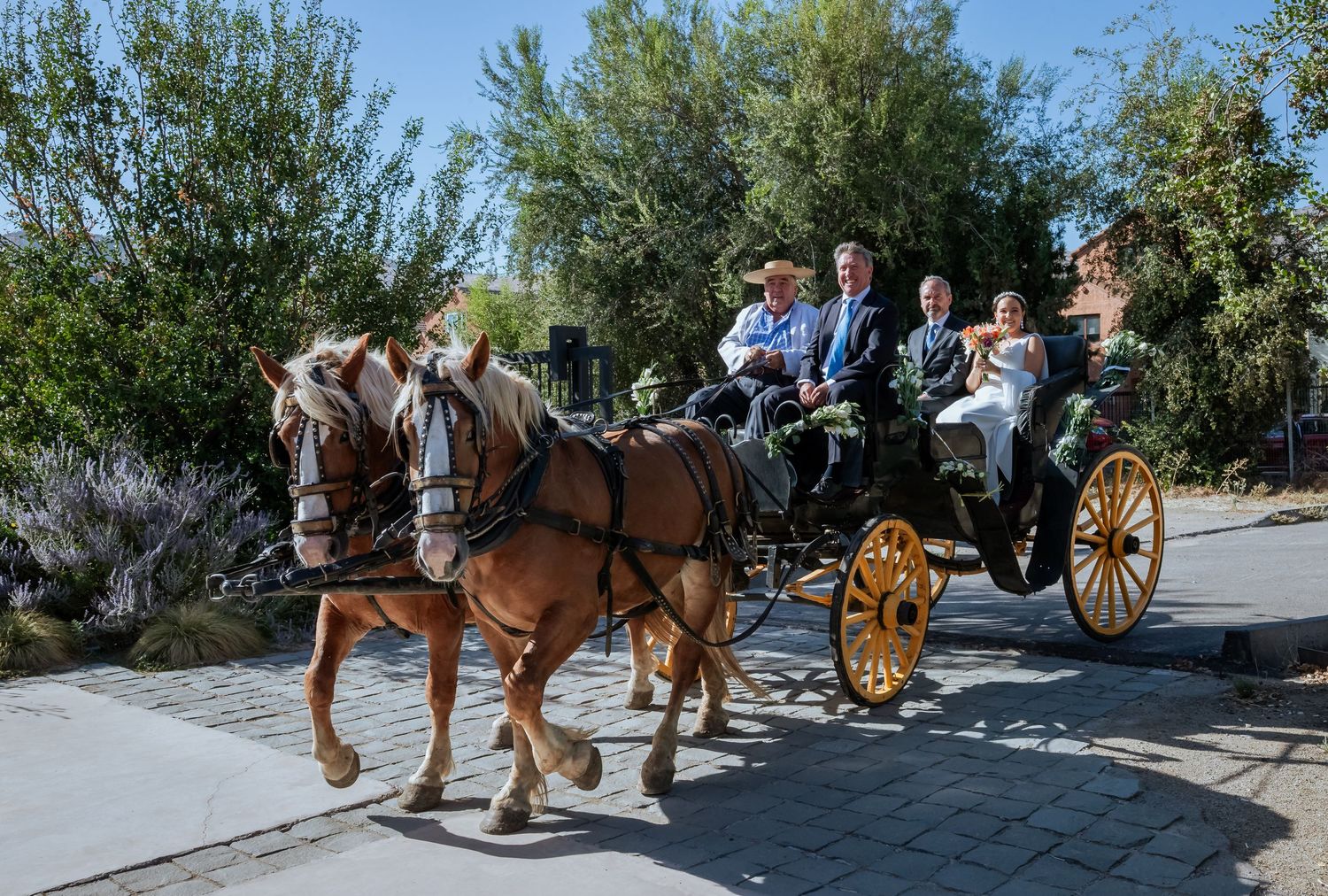 Wedding party rides in a horse-drawn carriage through a sunny outdoor venue.