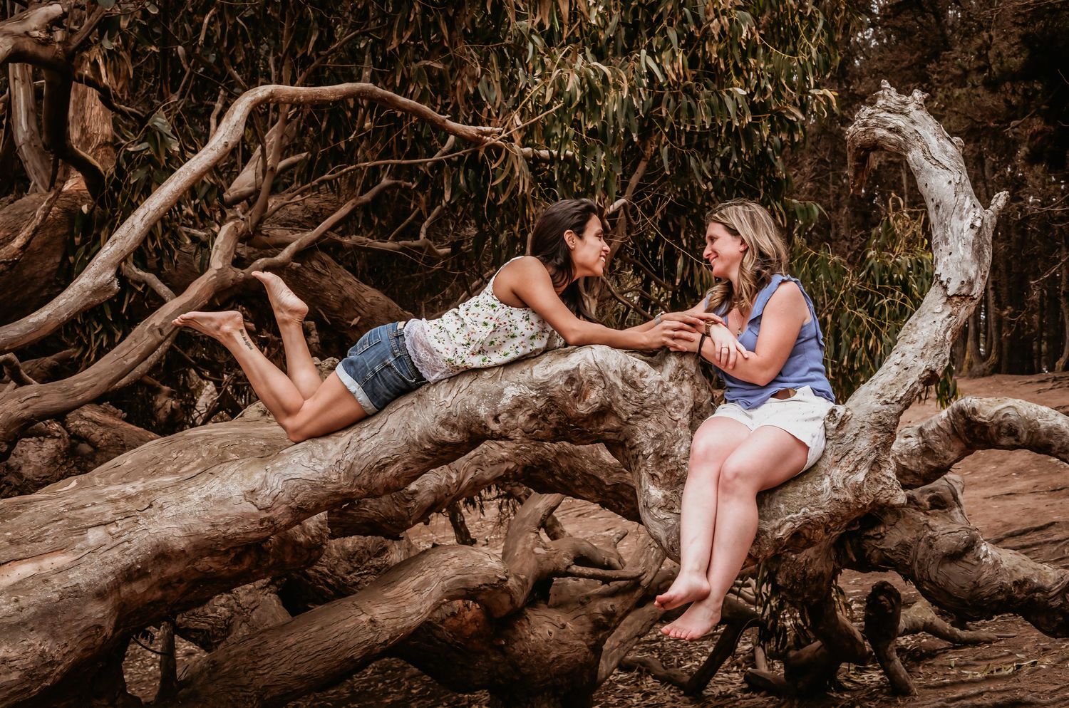 Two women sharing an intimate conversation while relaxing on large curved driftwood logs.
