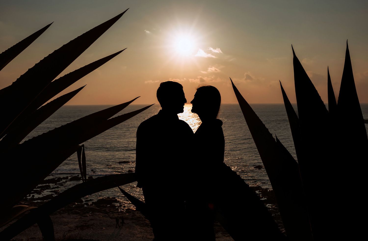Romantic couple silhouetted against vibrant sunset framed by tropical agave plants.