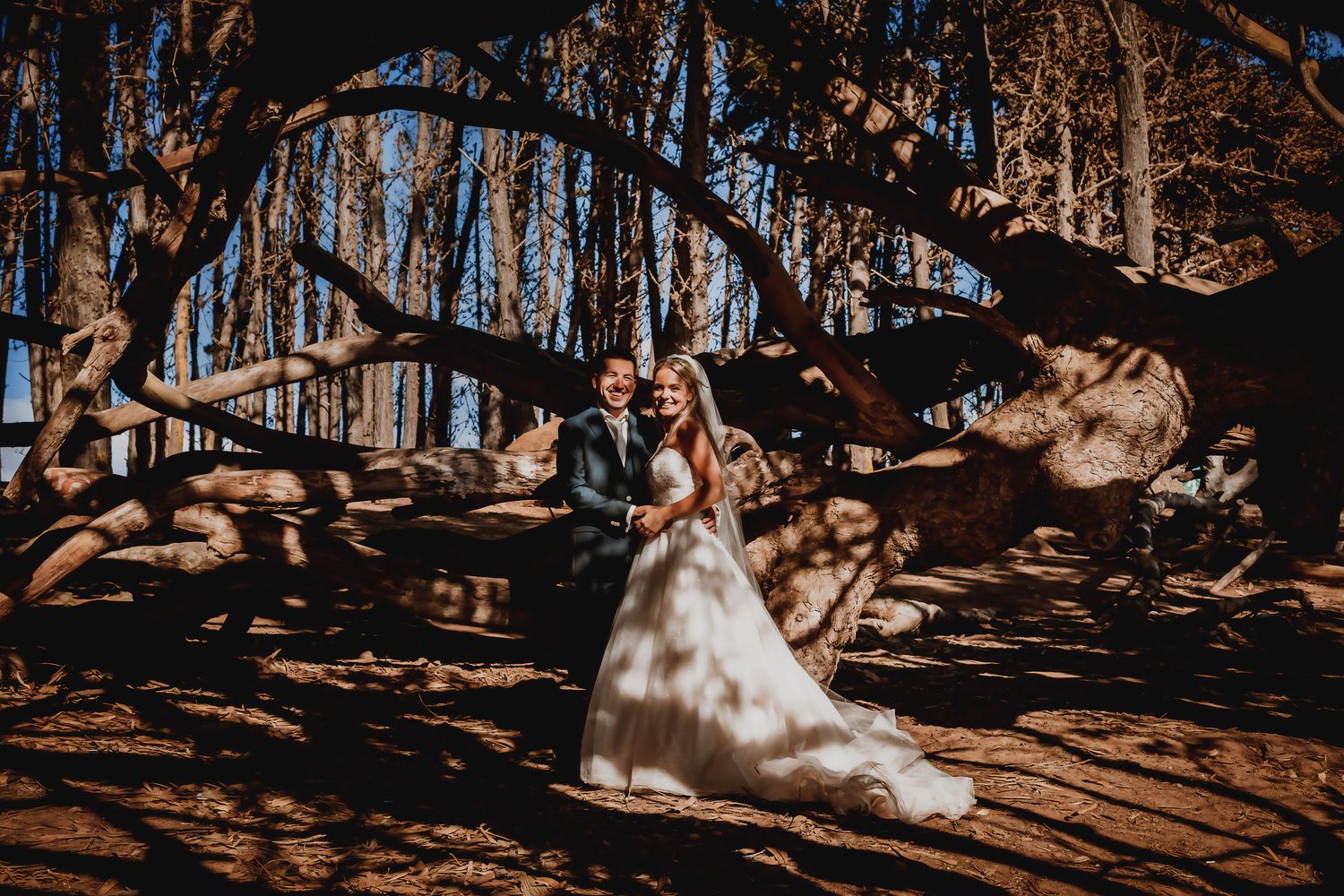 Bride and groom walking hand in hand among dramatic fallen tree branches.