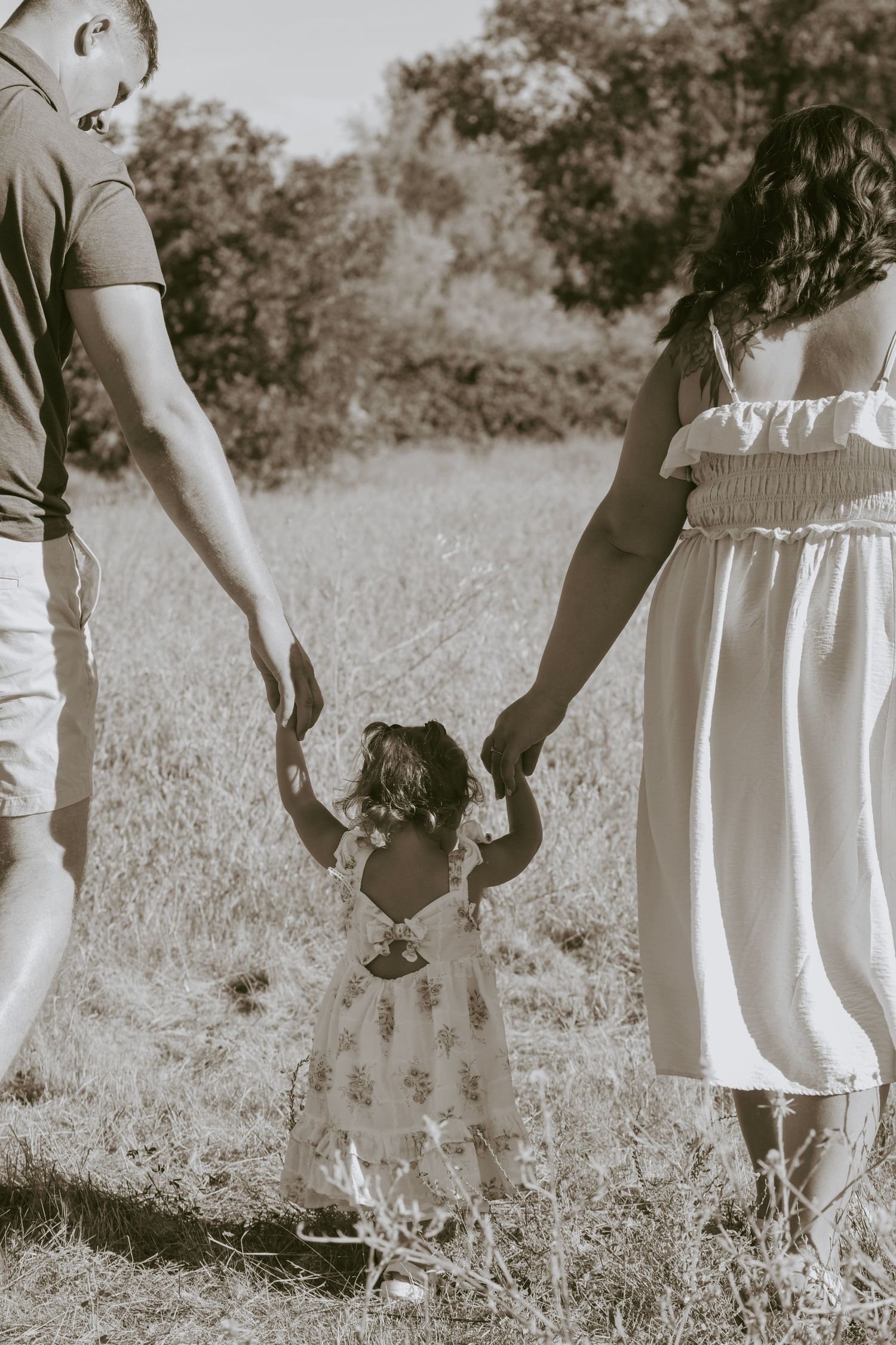 family photos in norcal