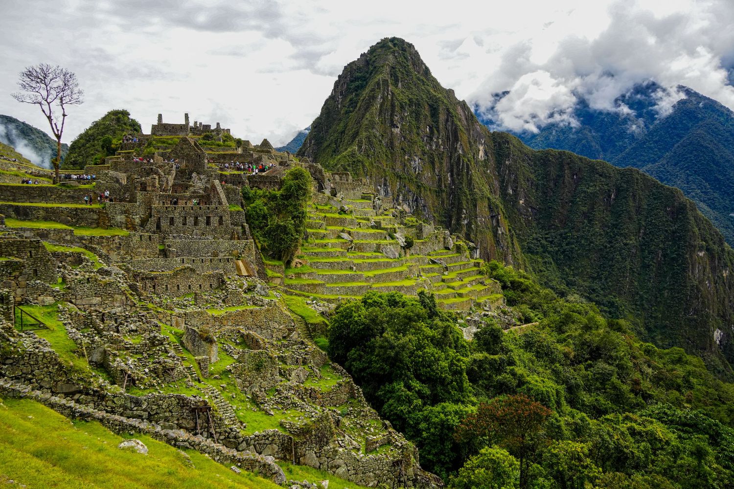 Ancient Inca ruins of Machu Picchu with terraced stone structures set against lush green mountains in Peru.