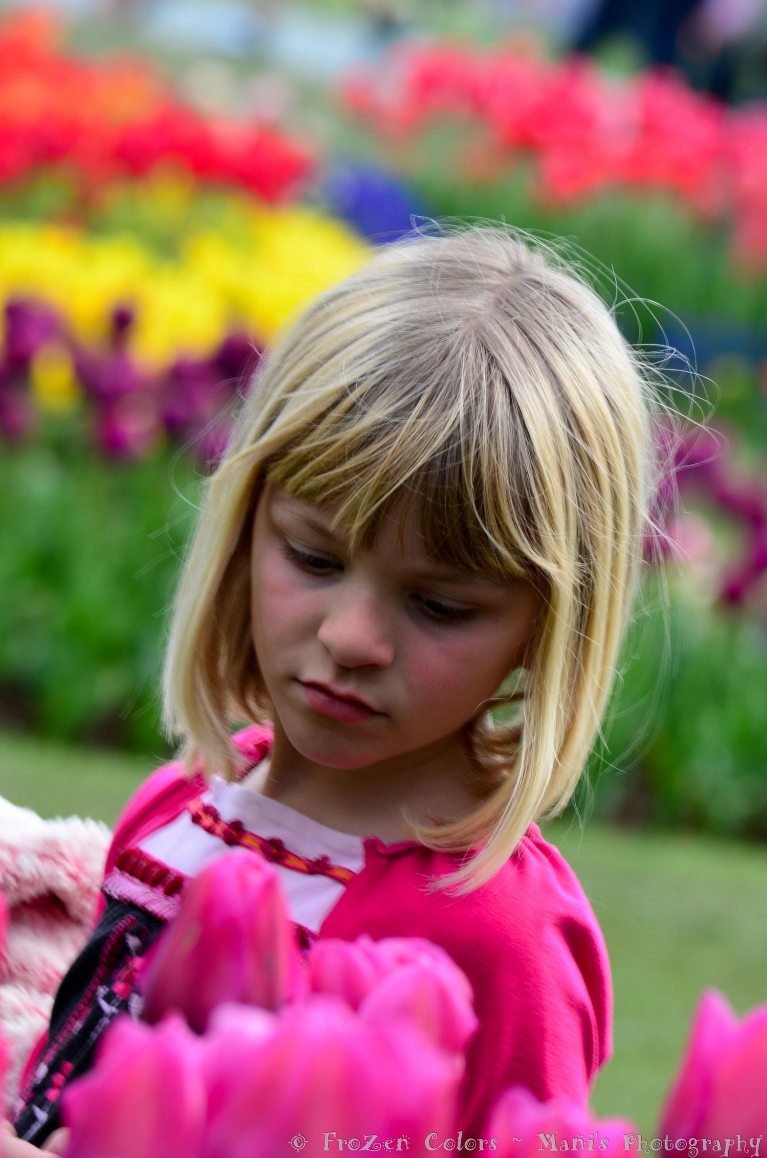 Young blonde girl in pink dress admiring colorful tulips in a vibrant flower garden.