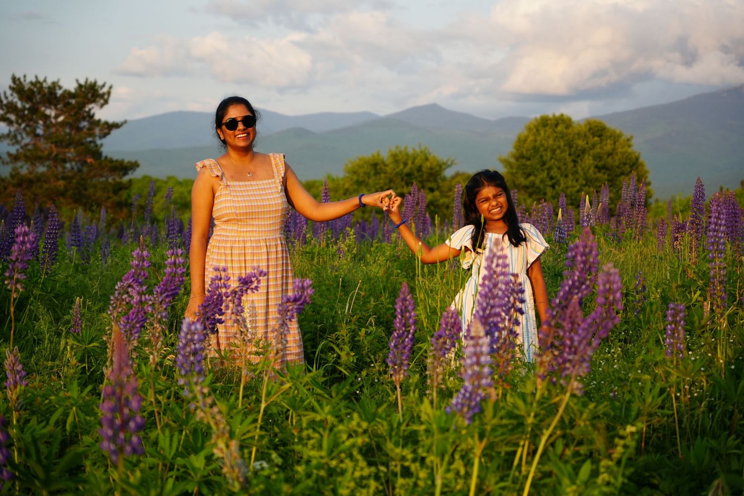 Woman and girl holding hands in a purple lupine flower field with mountain views in golden hour light.