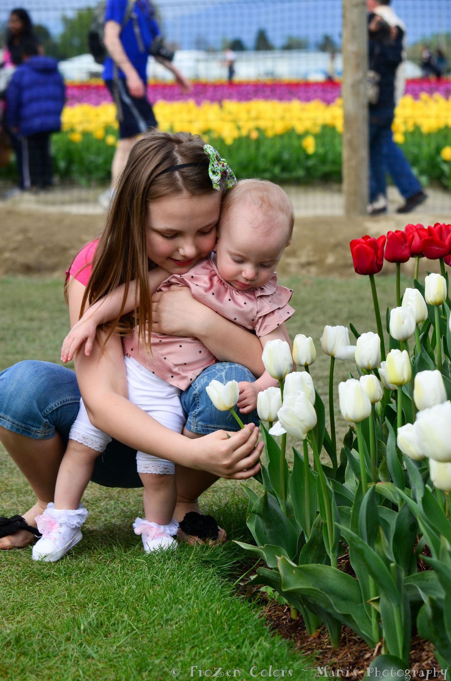 Girl holding baby sister smelling white and red tulips at a colorful tulip field festival in spring.
