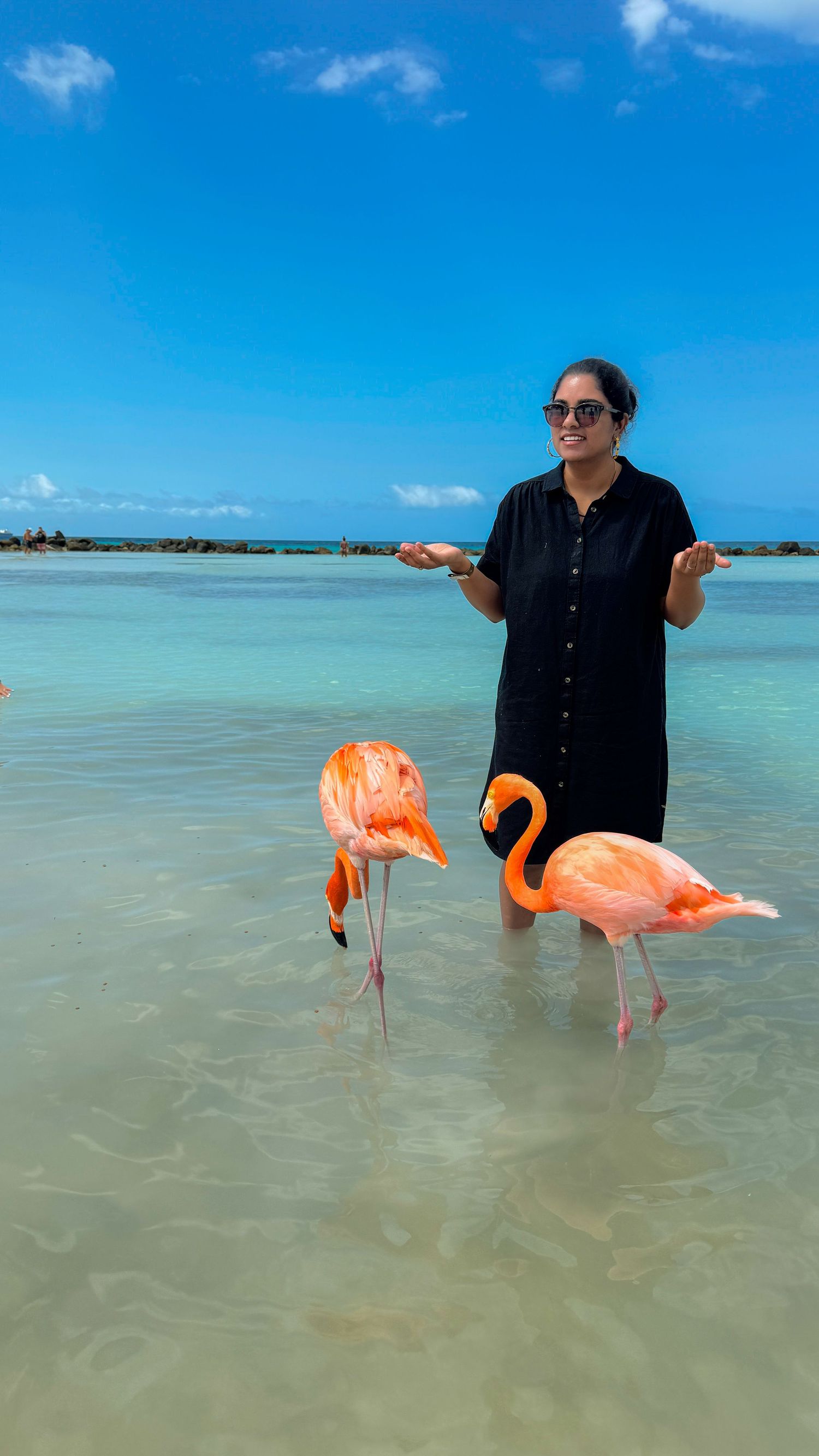 Woman in black dress standing in turquoise water with pink flamingos on a sunny tropical beach.