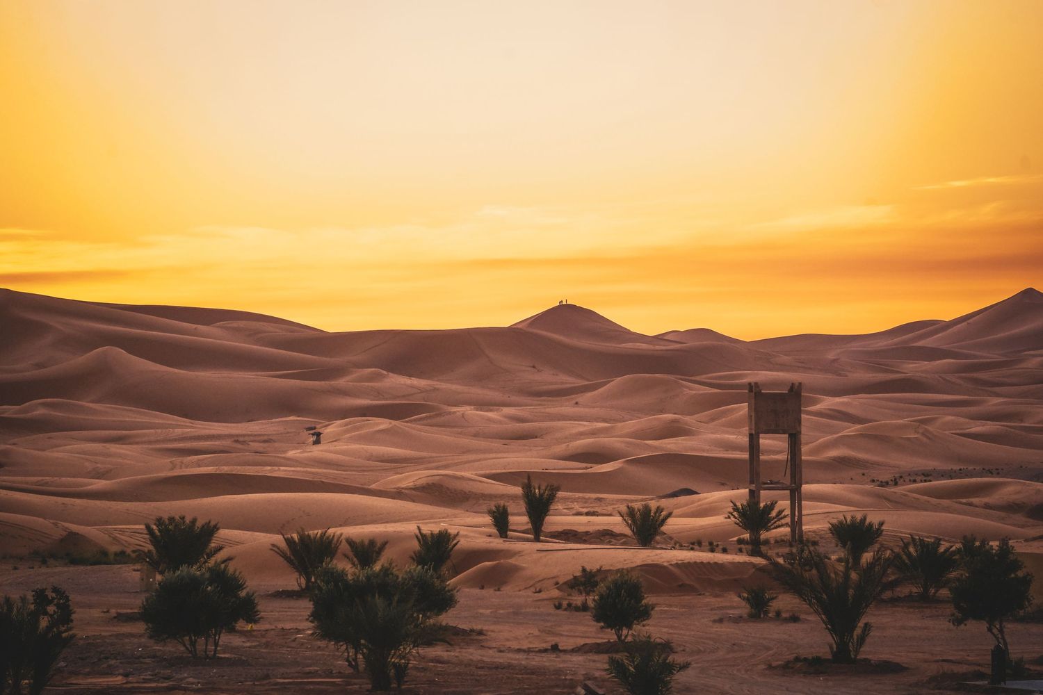 Golden sunset over vast Sahara desert sand dunes with palm trees and a wooden watchtower in the foreground.