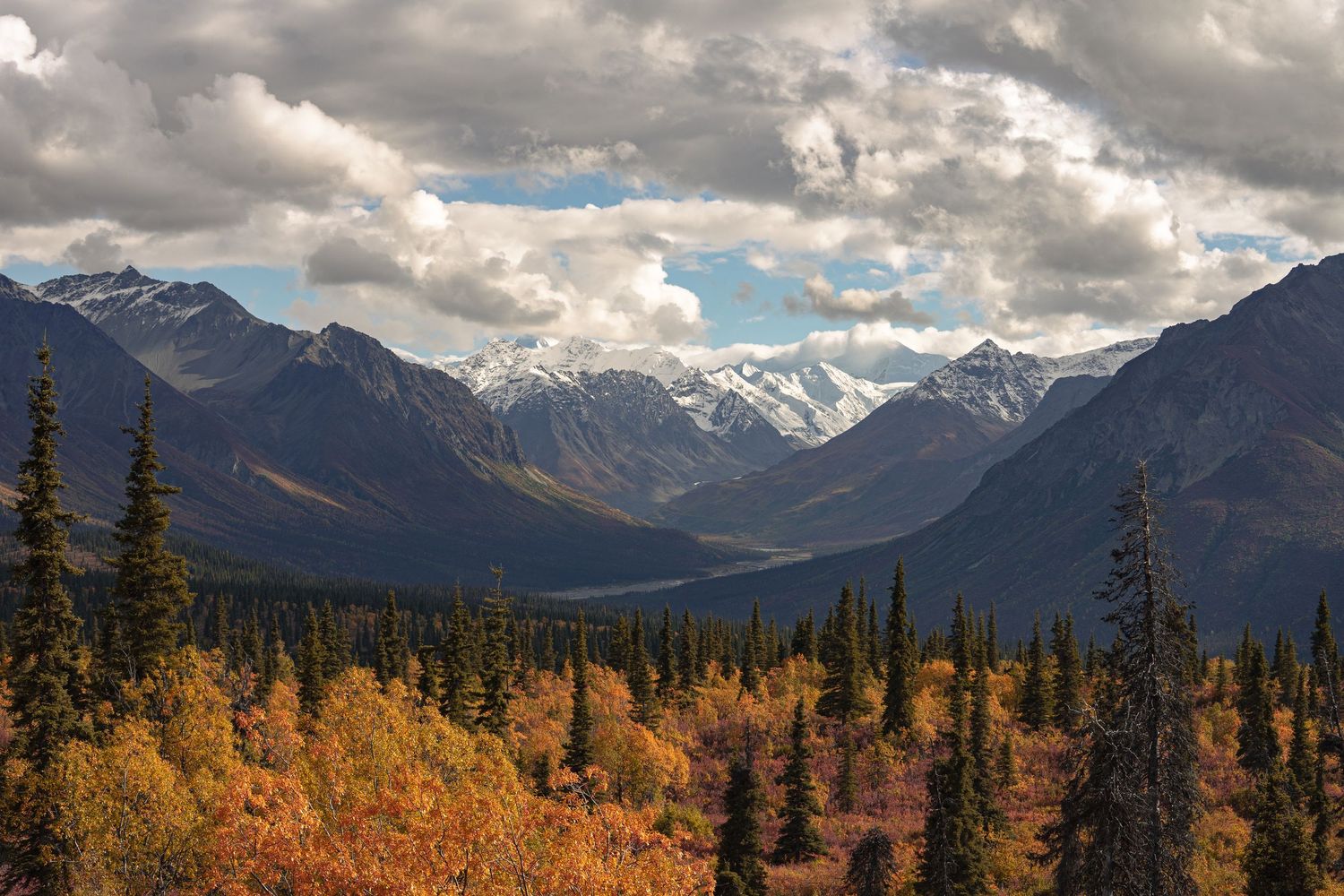 Stunning autumn valley landscape with snow-capped mountains and colorful fall foliage in Alaska.