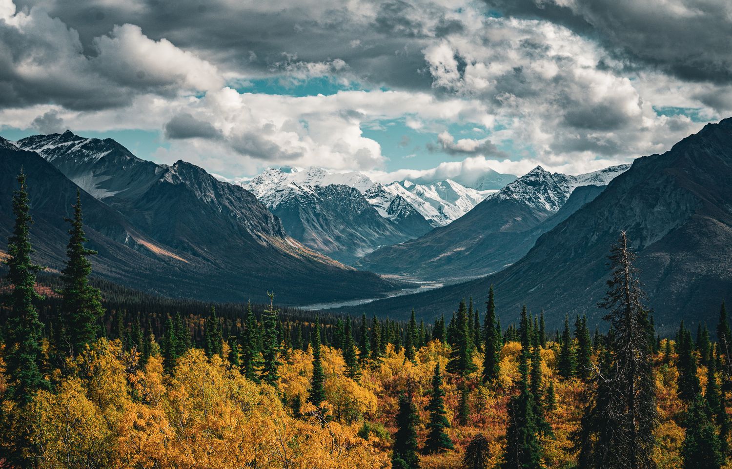 Snow-capped mountains with autumn forest valley under dramatic cloudy sky in Alaska wilderness.