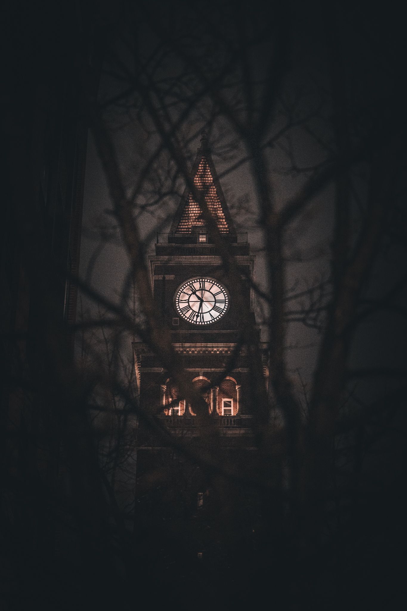Gothic clock tower illuminated at night framed by dark bare tree branches in moody scene.