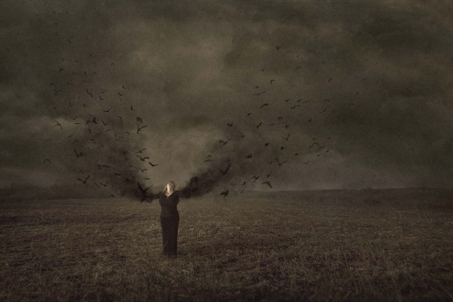 Dark surreal art of a lone figure in a field with black birds swirling like wings against a stormy sky.