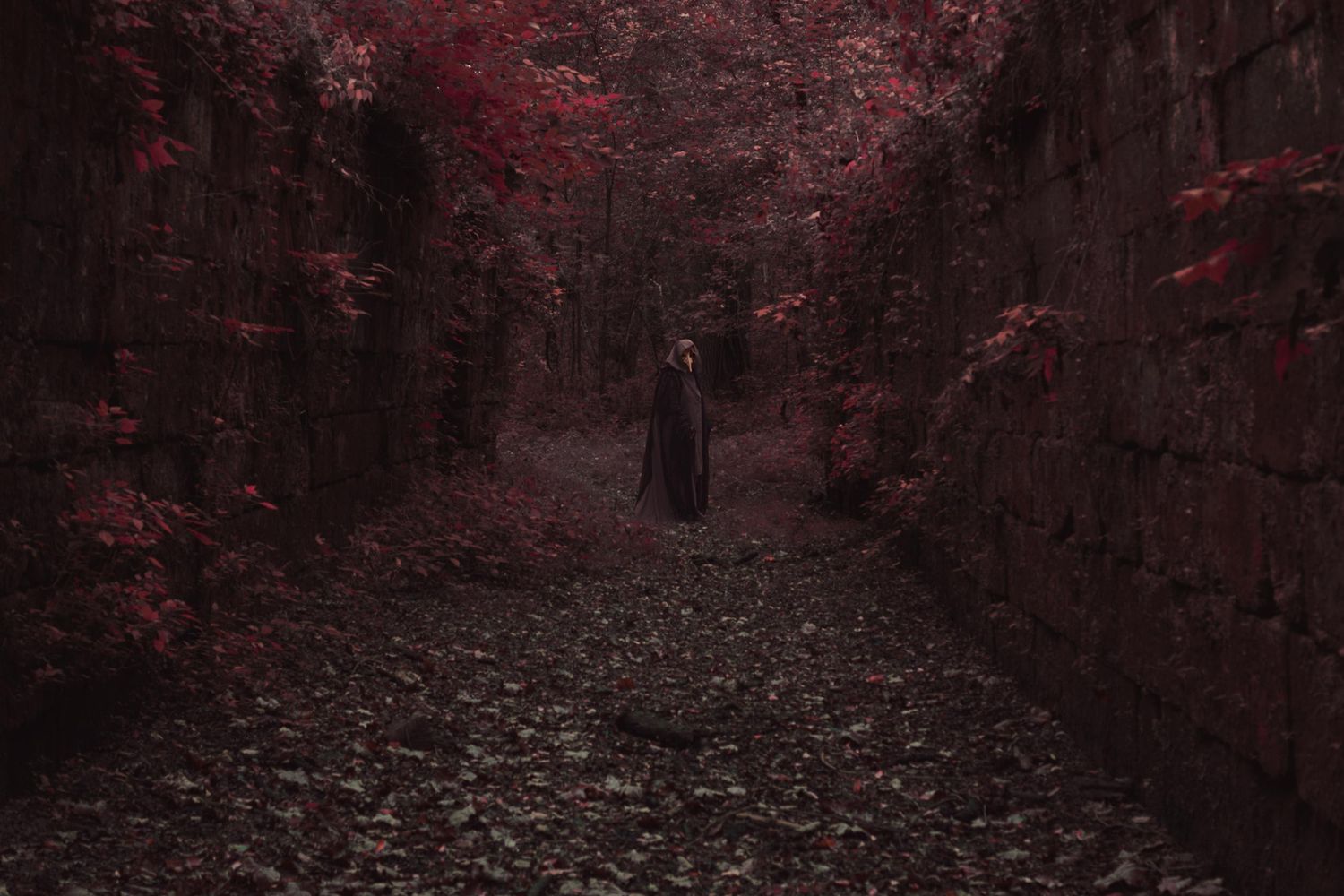 A dark figure stands in a moody red-leafed stone corridor, creating an eerie gothic atmosphere.