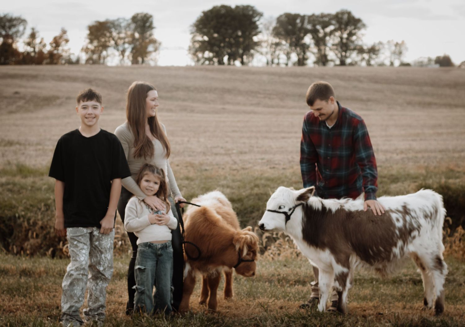 Cow mini session in Indiana