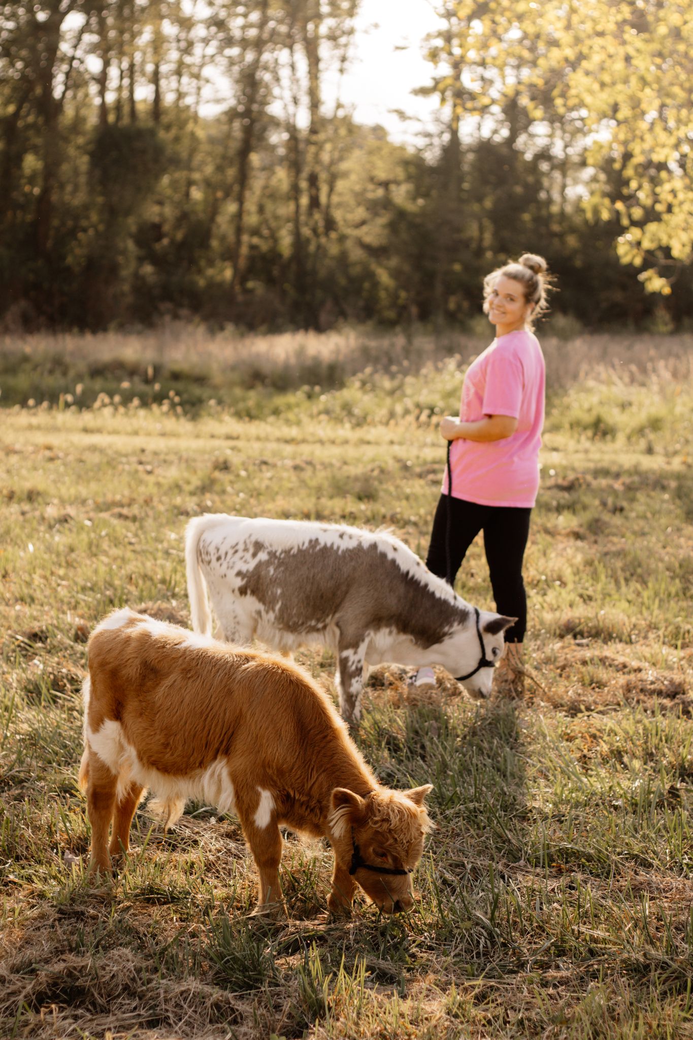 Woman in pink shirt and black leggings stands in a sunlit field with two grazing cows near a tree line.