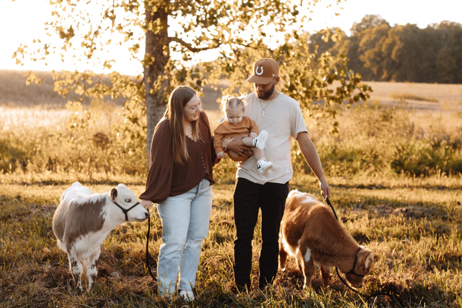 Cow Mini Session in Indiana