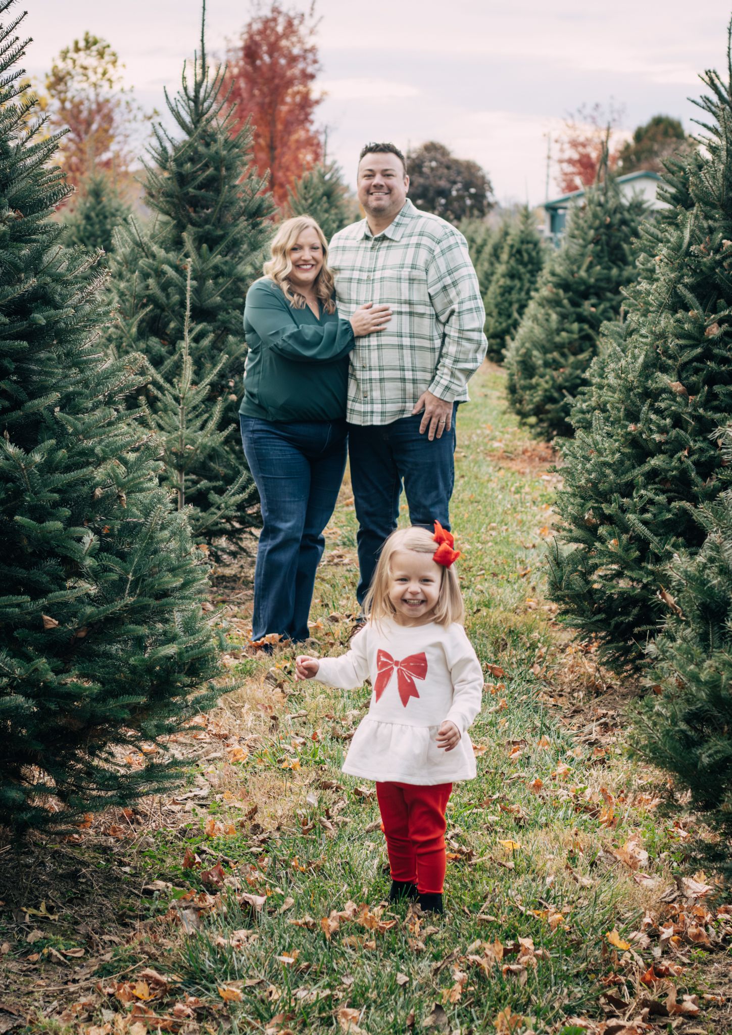 A cheerful family poses among green Christmas trees, with a toddler girl in a red bow outfit in the foreground.