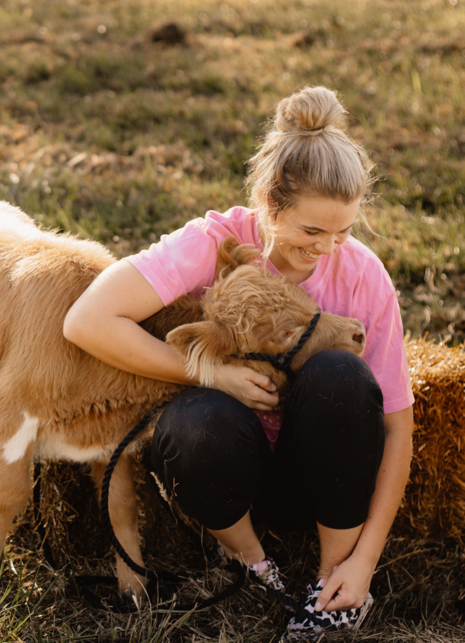 Cow mini session in Indiana
