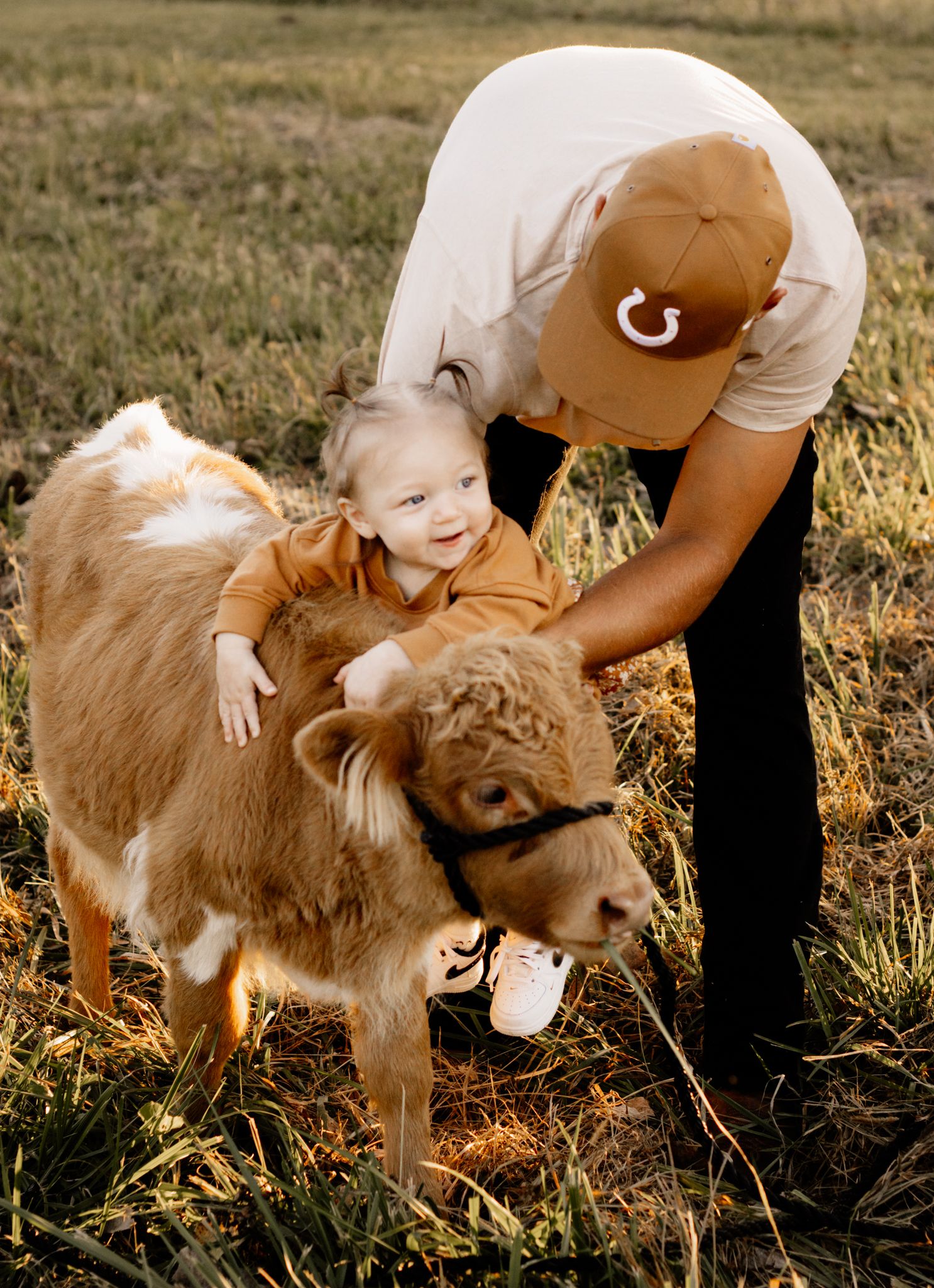 Cow Mini Session in Indiana