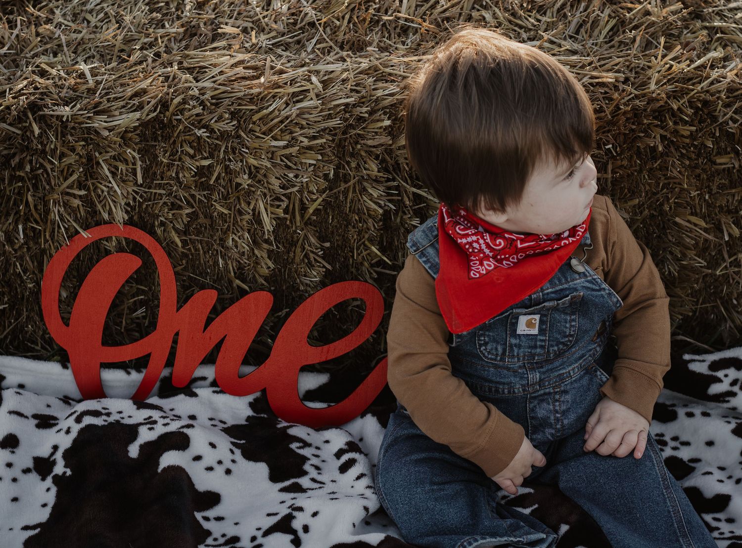 Baby boy in overalls and red bandana sitting by hay bales with red One sign for first birthday.