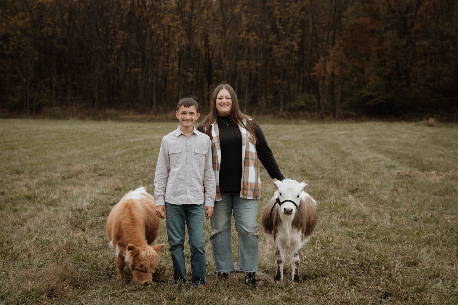 Smiling couple standing in an autumn field with two small fluffy miniature cows beside them.