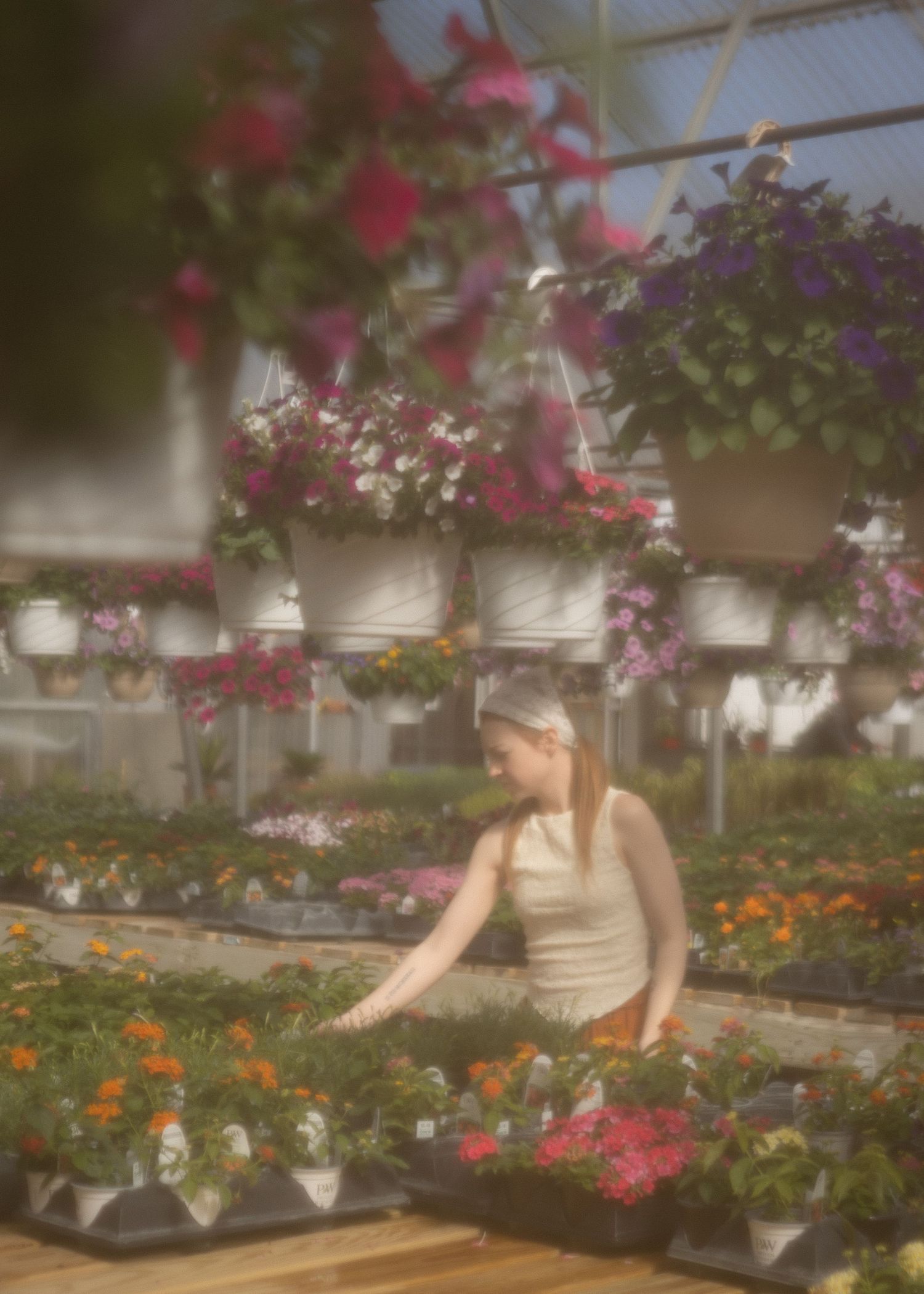 A young blonde woman browses colorful flowers inside a bright, vibrant greenhouse nursery.