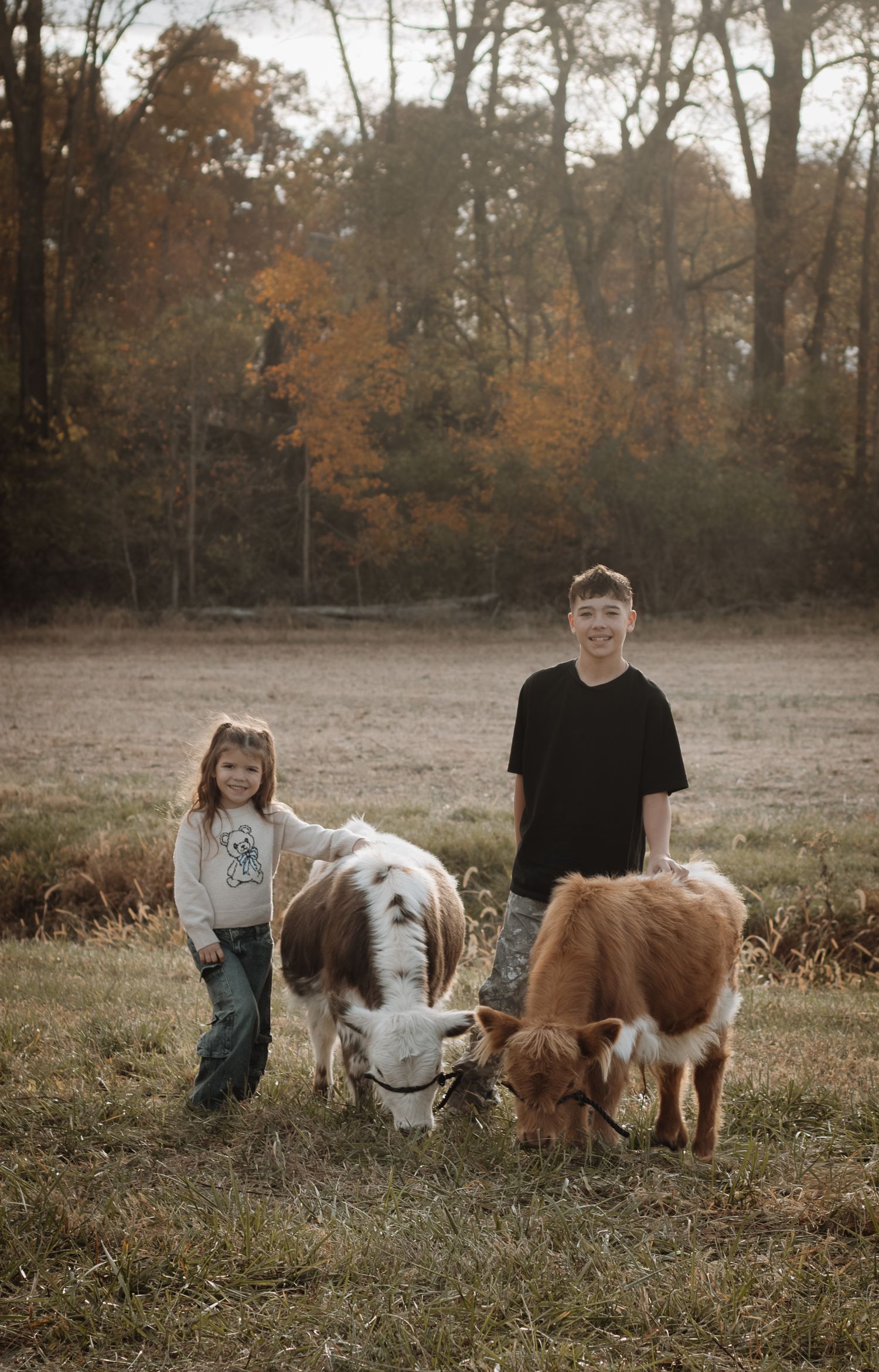 Two children standing with two miniature highland cows grazing in an autumn field surrounded by colorful trees.