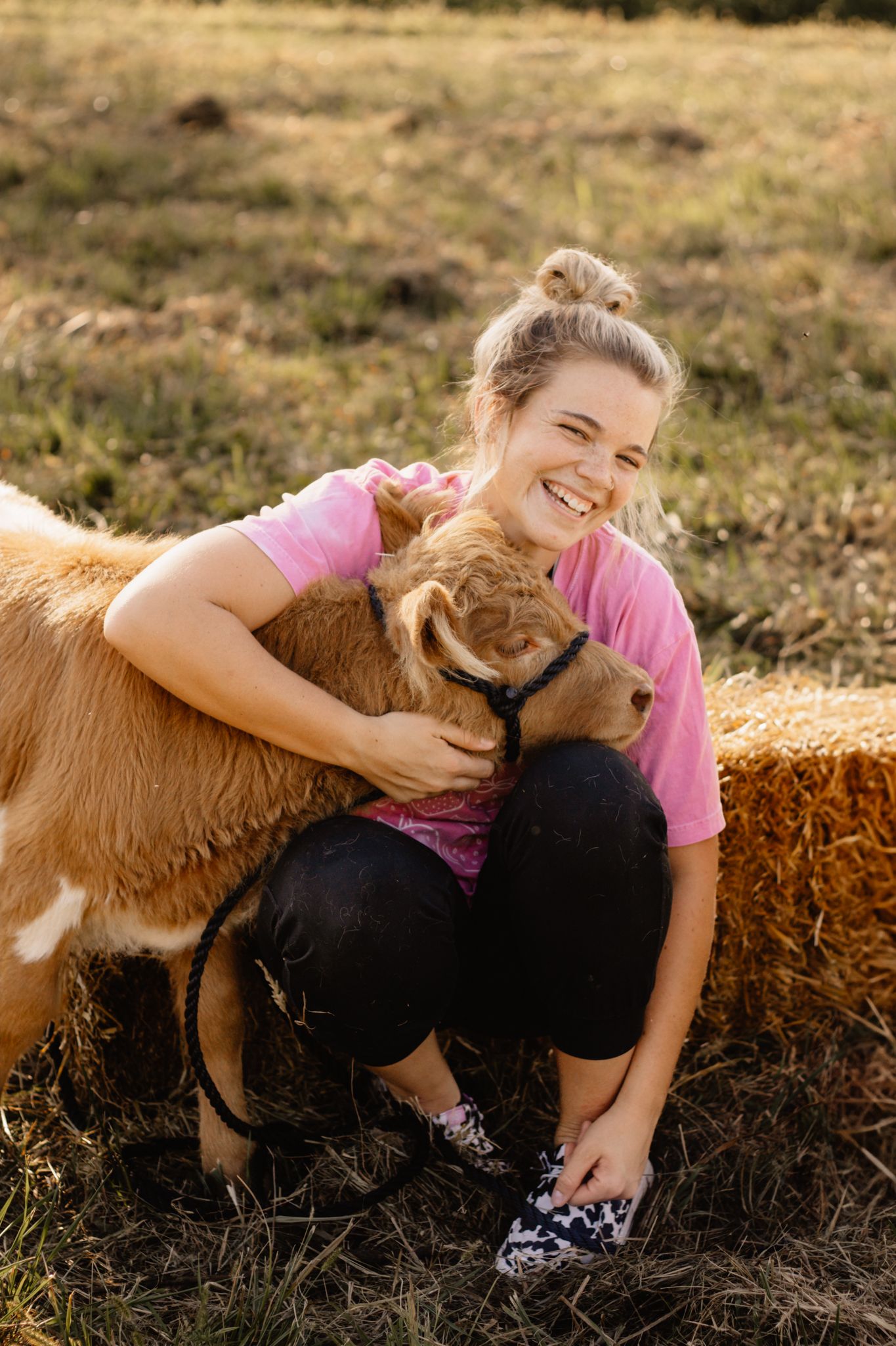 Cow Mini Session in Indiana