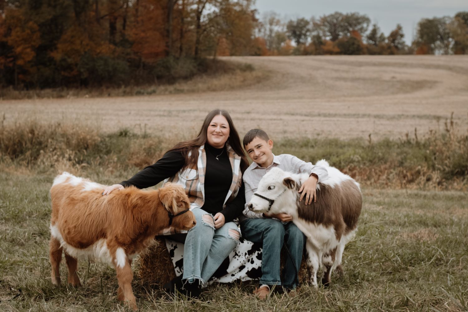 Couple sitting outdoors with miniature Highland cows in an autumn farm field setting.