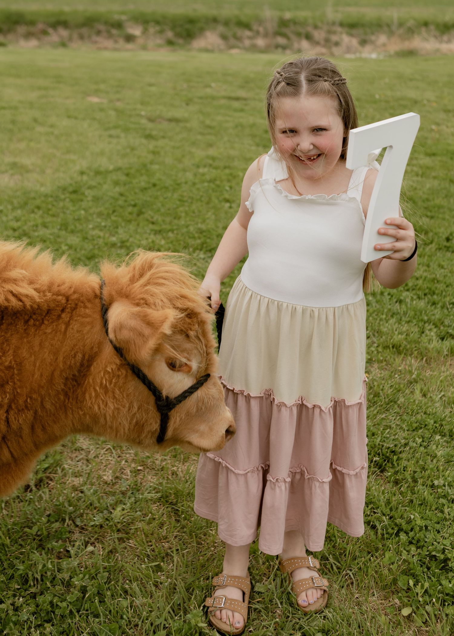 Laughing girl in cream and pink tiered dress holding number sign while petting a fluffy brown calf.